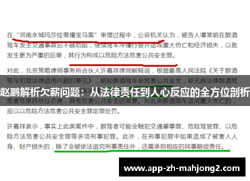 赵鹏解析欠薪问题:从法律责任到人心反应的全方位剖析 赵鹏解析欠薪问题:从法律责任到人心反应的全方位剖析