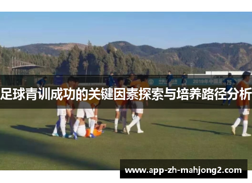 足球青训成功的关键因素探索与培养路径分析