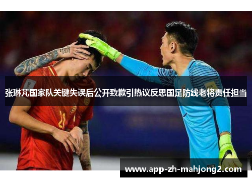 张琳芃国家队关键失误后公开致歉引热议反思国足防线老将责任担当