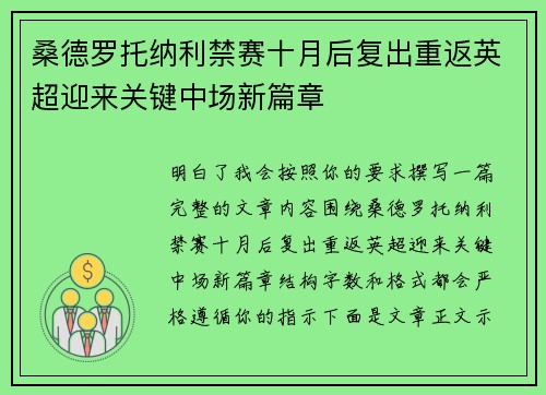 桑德罗托纳利禁赛十月后复出重返英超迎来关键中场新篇章